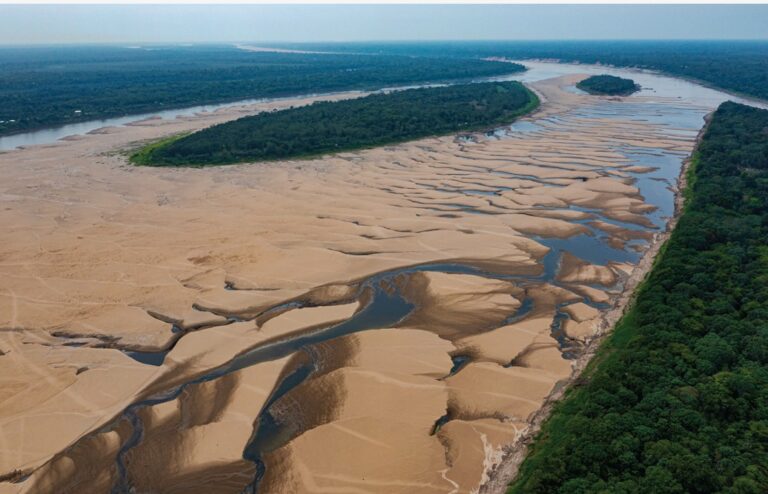| COP 30 | – La Red Bioamazonia impulsa la cooperación científica panamazónica y las soluciones a los desafíos climáticos