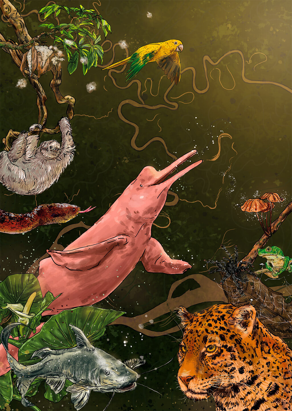 Conocimiento y Gestión de la Biodiversidad