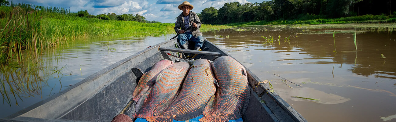 Red Bioamazonia Banner