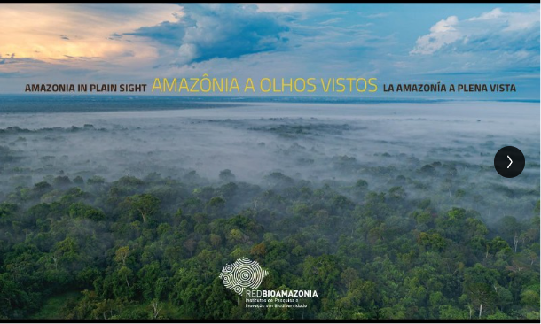 | 𝗟𝗮 𝗔𝗺𝗮𝘇𝗼𝗻í𝗮 𝗮 𝗽𝗹𝗲𝗻𝗮 𝘃𝗶𝘀𝘁𝗮 | La 𝗥𝗲𝗱 𝗕𝗶𝗼𝗮𝗺𝗮𝘇𝗼𝗻𝗶𝗮 𝗶𝗻𝗮𝘂𝗴𝘂𝗿𝗮 𝘂𝗻𝗮 𝗲𝘅𝗽𝗼𝘀𝗶𝗰𝗶𝗼́𝗻 𝗳𝗼𝘁𝗼𝗴𝗿𝗮́𝗳𝗶𝗰𝗮 𝗲𝗻 𝗹𝗮 𝗖𝗢𝗣𝟯𝟬, 𝗲𝗻 𝗕𝗲𝗹𝗲́𝗺.